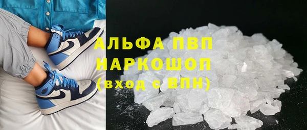 индика Арсеньев