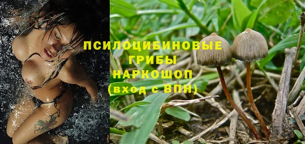 индика Арсеньев