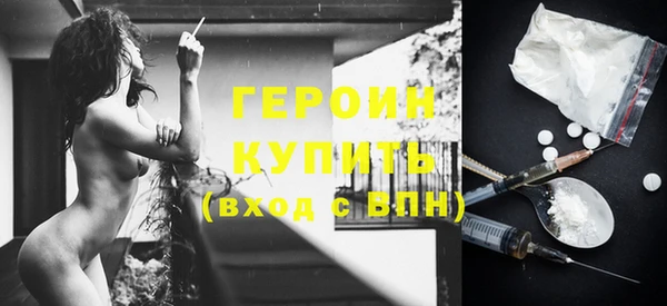 индика Арсеньев