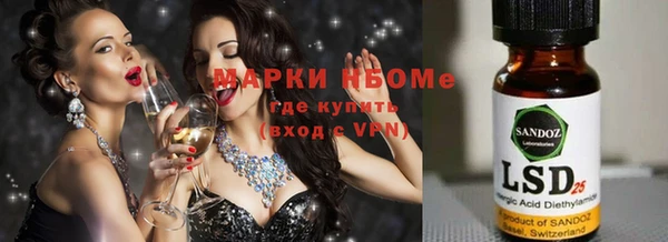 индика Арсеньев
