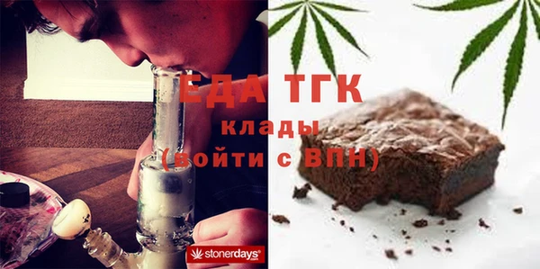 индика Арсеньев
